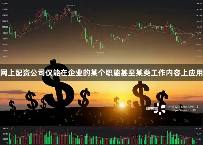 网上配资公司仅能在企业的某个职能甚至某类工作内容上应用