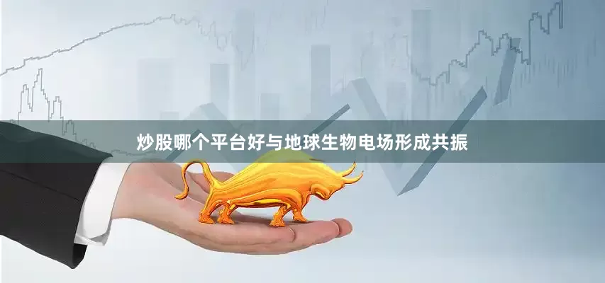 炒股哪个平台好与地球生物电场形成共振