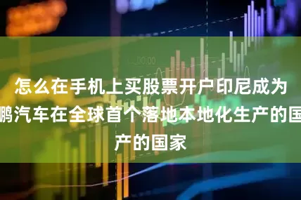 怎么在手机上买股票开户印尼成为小鹏汽车在全球首个落地本地化生产的国家