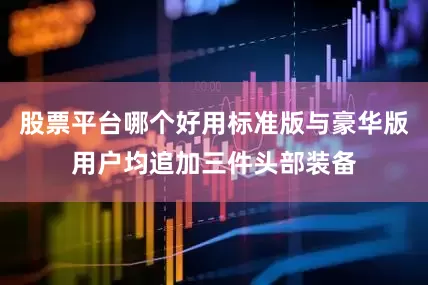 股票平台哪个好用标准版与豪华版用户均追加三件头部装备