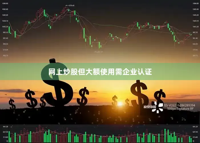 网上炒股但大额使用需企业认证