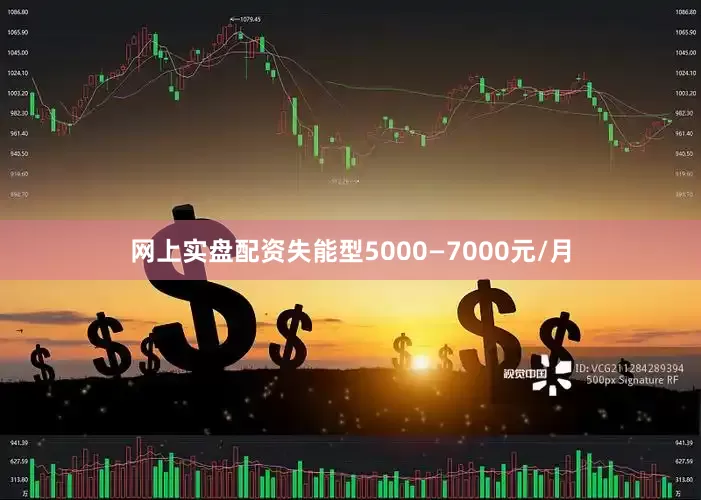 网上实盘配资失能型5000—7000元/月